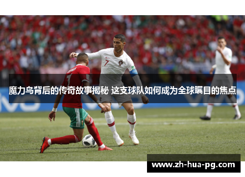 魔力鸟背后的传奇故事揭秘 这支球队如何成为全球瞩目的焦点