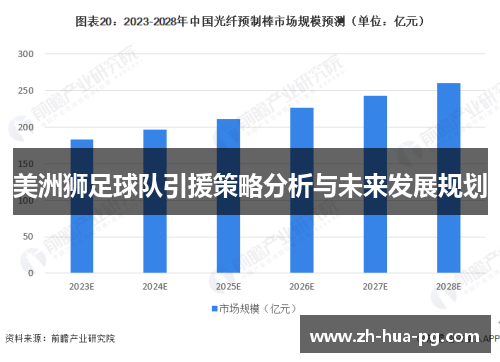 美洲狮足球队引援策略分析与未来发展规划