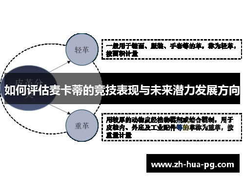 如何评估麦卡蒂的竞技表现与未来潜力发展方向