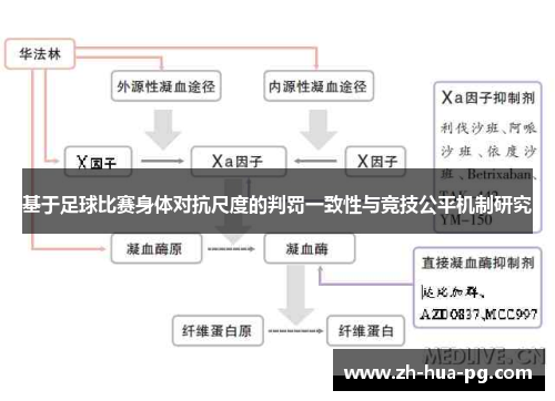 基于足球比赛身体对抗尺度的判罚一致性与竞技公平机制研究 基于足球比赛身体对抗尺度的判罚一致性与竞技公平机制研究