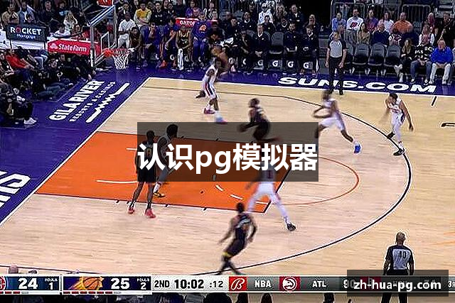 认识pg模拟器